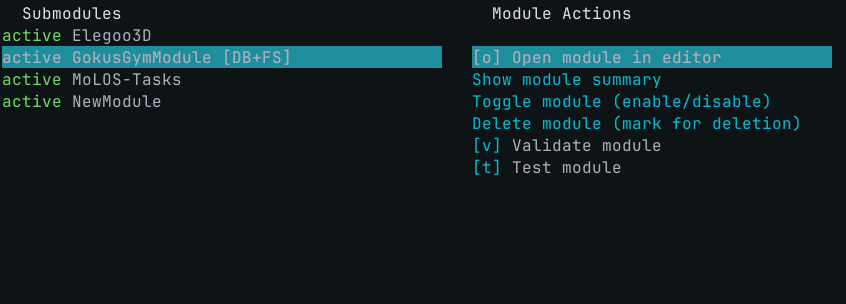 Module list and manager