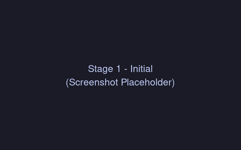 Stage 1 - Initial responses