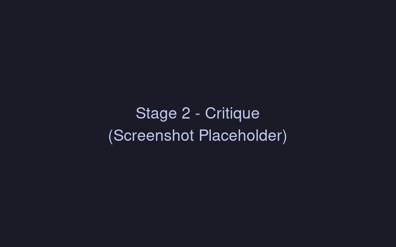 Stage 2 - Discussion and critique